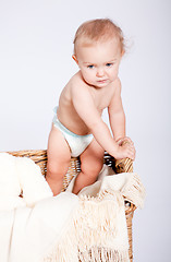 Image showing cute little baby infant in basket with teddy 