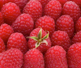 Image showing Background of Raspberries 