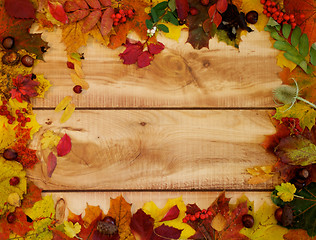 Image showing Autumn Leafs and Yield