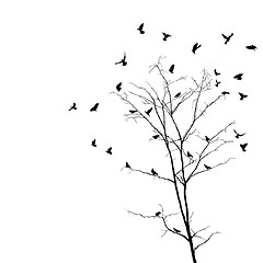 Image showing Birds and tree silhouettes