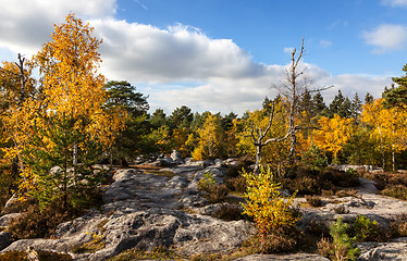 Image showing Forest of Fontainebleau