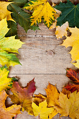 Image showing autumn leaves frame