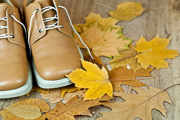 Image showing leather shoes and yellow leaves