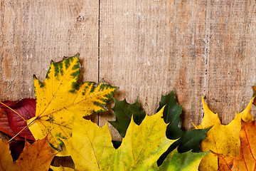 Image showing autumn leaves over wooden background