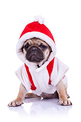 Image showing pug puppy dressed as santa