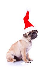 Image showing pug puppy wearing a santa hat