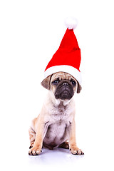 Image showing pug puppy wearing a santa hat