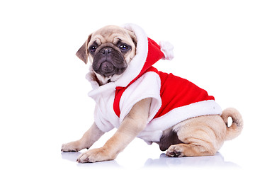 Image showing pug puppy wearing a santa claus costume