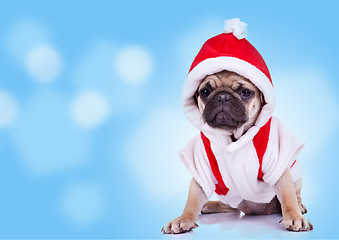 Image showing pug puppy wearing a santa claus costume 