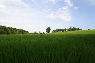 Image showing Quiet Spring landscape
