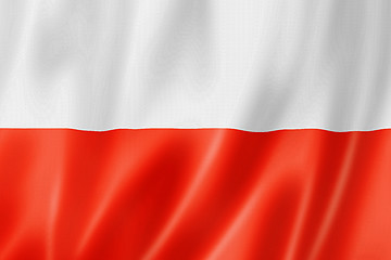 Image showing Polish flag