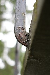 Image showing rust