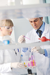 Image showing science people in bright lab