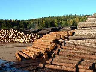 Image showing Timber