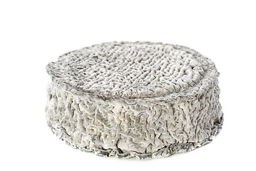 Image showing goat cheese