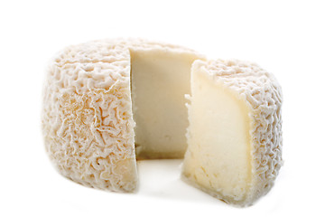 Image showing goat cheese crottin de chavignol