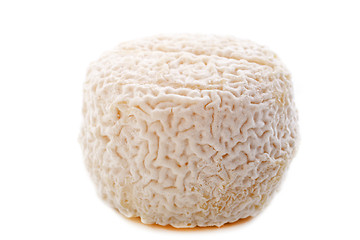 Image showing goat cheese crottin de chavignol