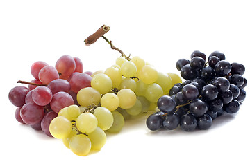 Image showing three varieties of grapes