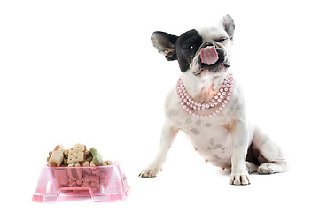 Image showing french bulldog and pet food