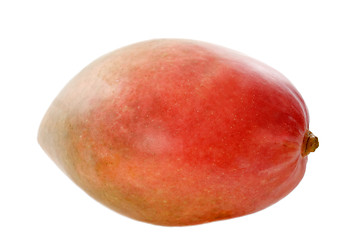 Image showing mango