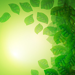 Image showing Fresh Green Background