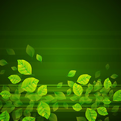 Image showing Fresh Green Background