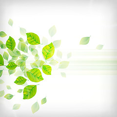 Image showing Fresh Green Background