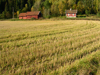 Image showing Farm