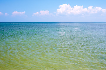 Image showing Seascape. Coastal shallow water