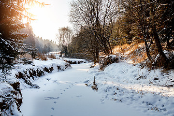 Image showing Sunny morning in winter landscape