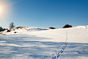 Image showing winter scene