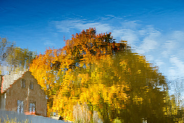 Image showing Realistic rural water reflection in the pond