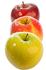 Image showing Colourful apples