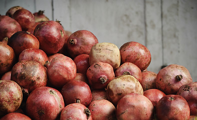 Image showing Pomegranate