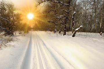 Image showing winter landscape