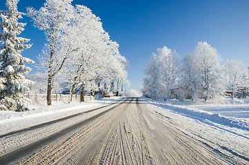 Image showing Winter rural road between the trees covered with frost on a sunny day