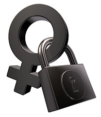 Image showing female lock