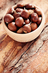 Image showing edible chestnuts