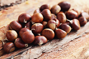 Image showing edible chestnuts