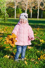 Image showing The little girl collects fallen down leaves in autumn park