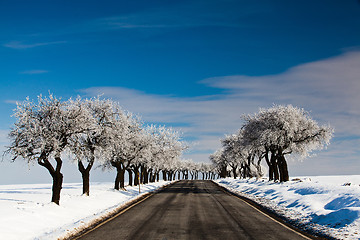 Image showing Empty road in winter