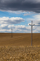 Image showing On the barley field