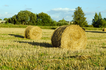 Image showing Straw bales field shadow 