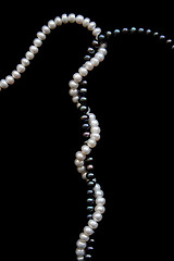 Image showing White and black pearls on a black velvet
