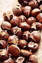 Image showing edible chestnuts