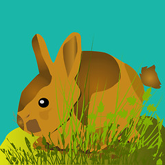 Image showing Rabbit