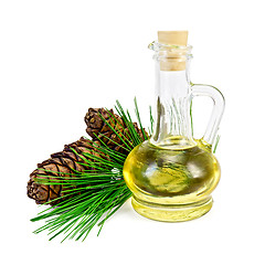Image showing Oil cedar with cones