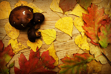 Image showing Leaves on a board