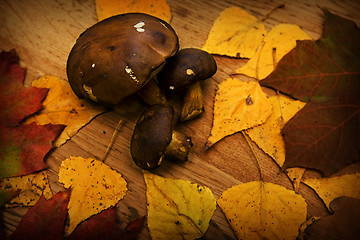 Image showing Leaves on a board