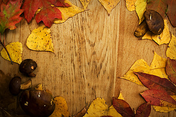 Image showing Leaves on a board